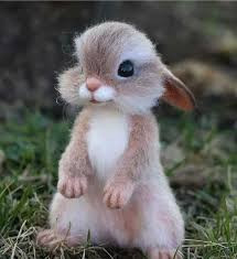 withdrawal user image